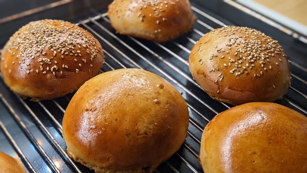 Burger Buns